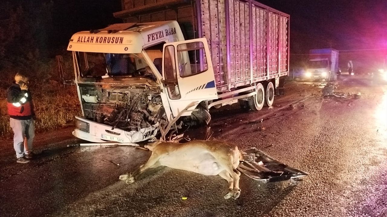 Bolu'da Yolda Geyiğe Çarpan Araç Kazası: 1 Ölü, 1 Yaralı
