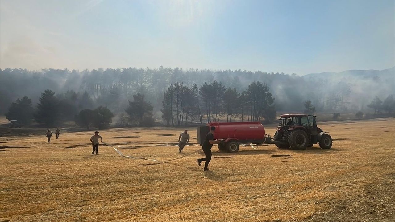 Bolu'daki Orman Yangını Kontrol Altına Alındı