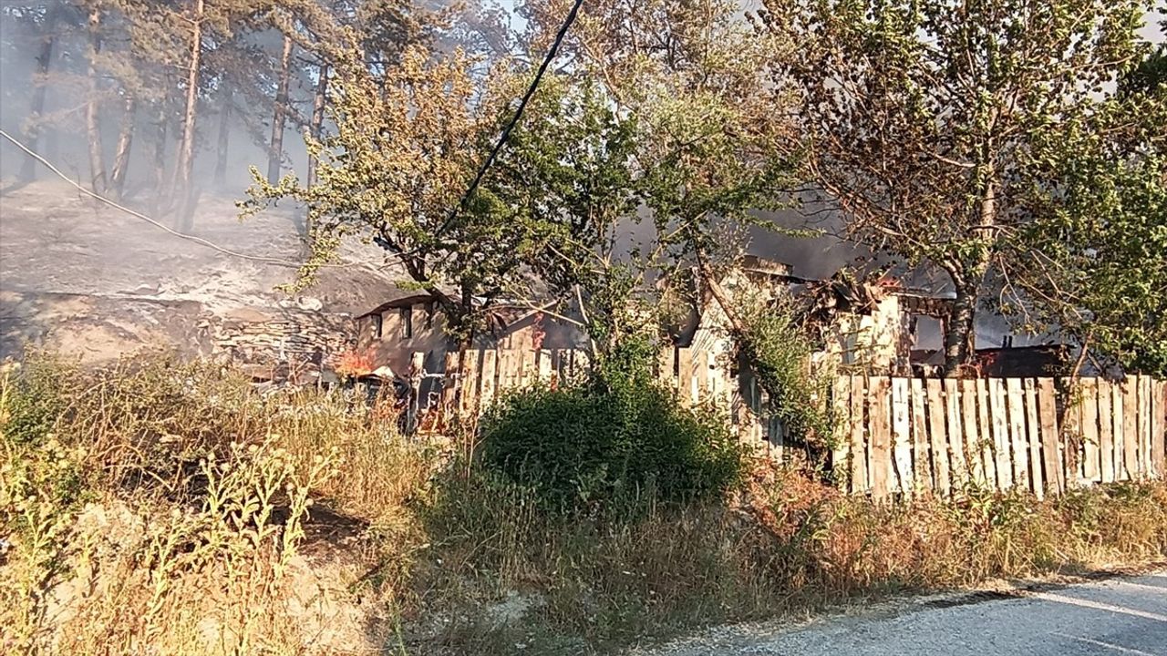 Bolu Mudurnu'da Orman Yangını: Hızla Müdahale Ediliyor