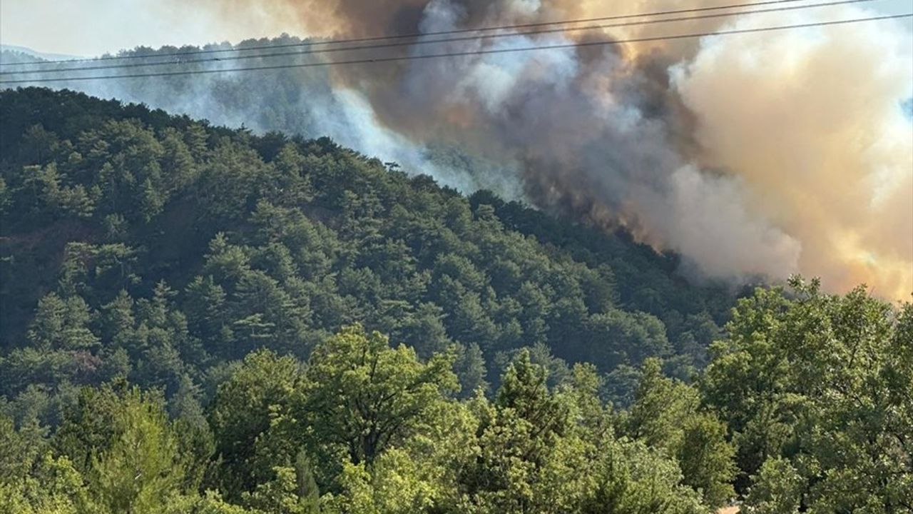 Bolu'nun Göynük İlçesinde Orman Yangınına Müdahale Başlatıldı