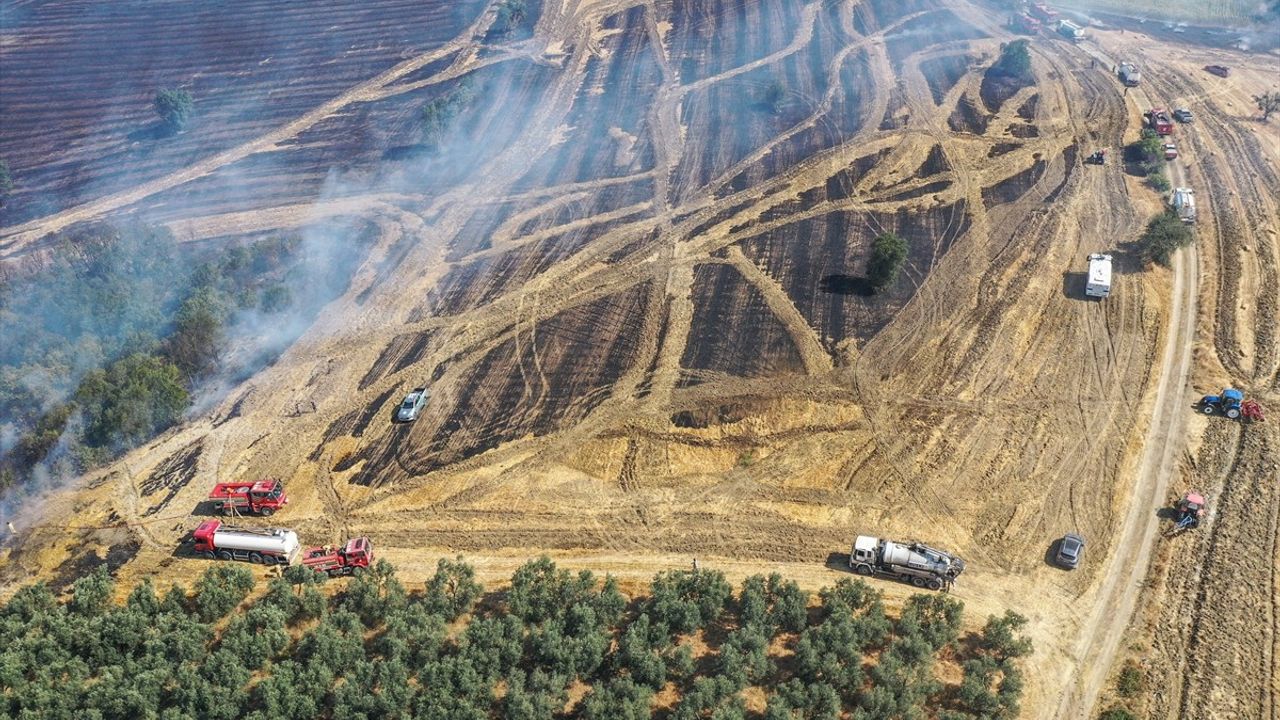 Bursa'da Arazi Yangını Başarıyla Söndürüldü