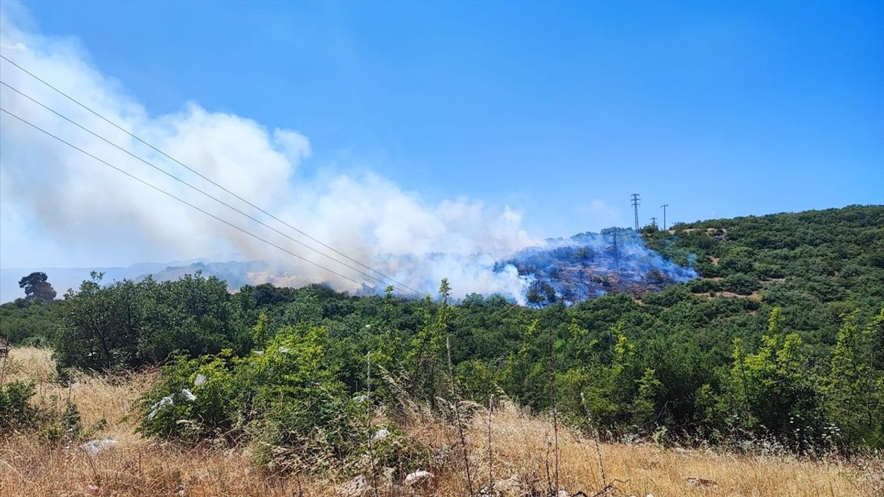 Bursa'da İki İlçede Orman Yangınına Müdahale
