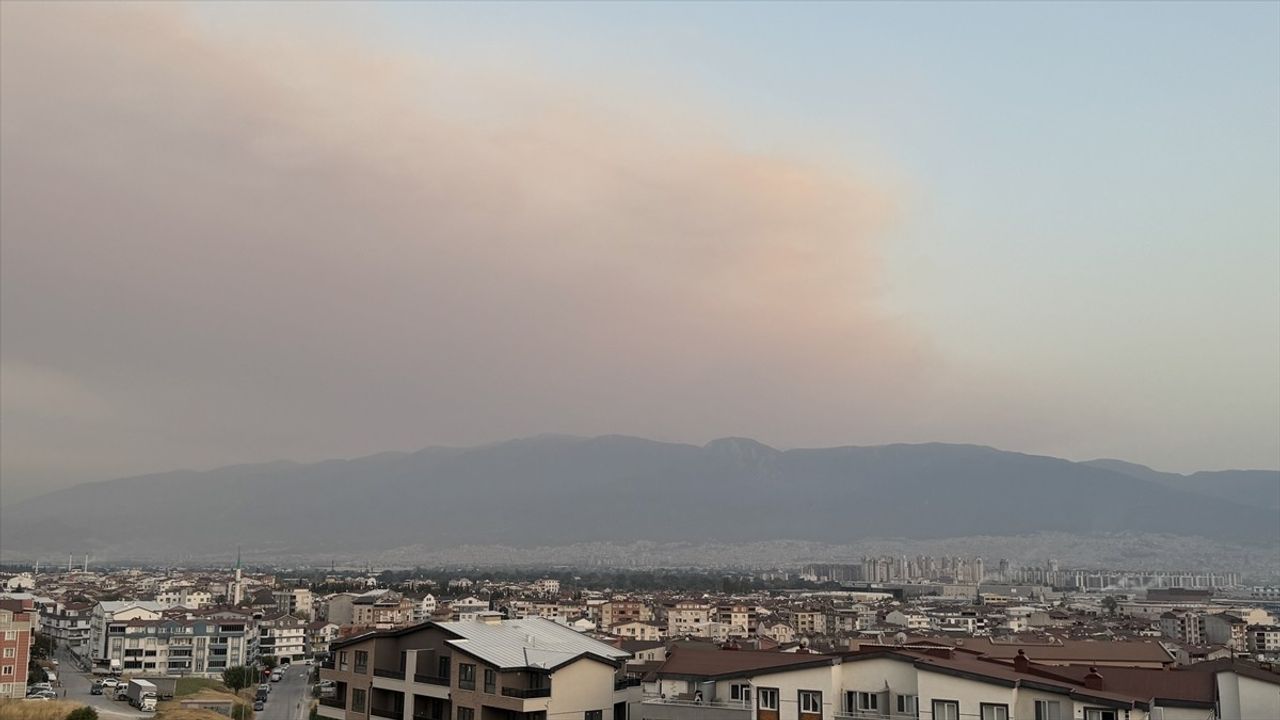 Bursa'da Orman Yangını Dumanı Şehri Sardı