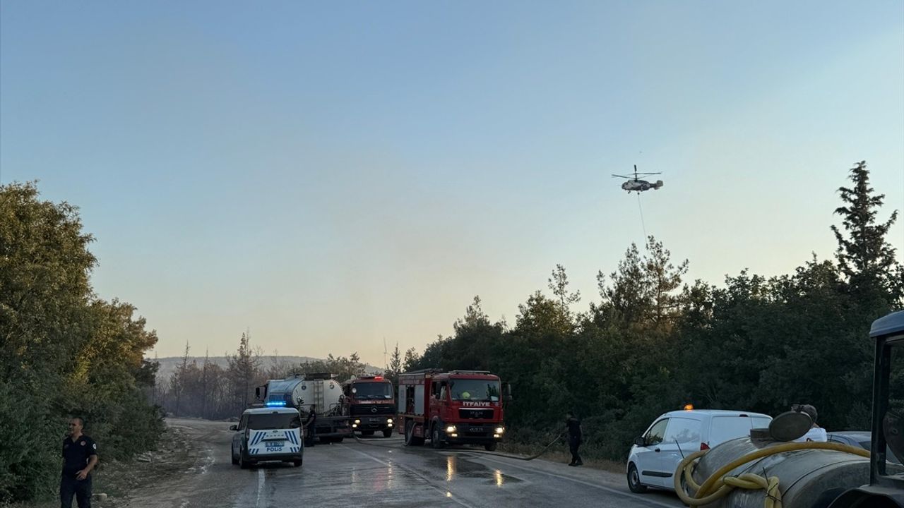 Bursa'da Orman Yangınına Müdahale Başlatıldı