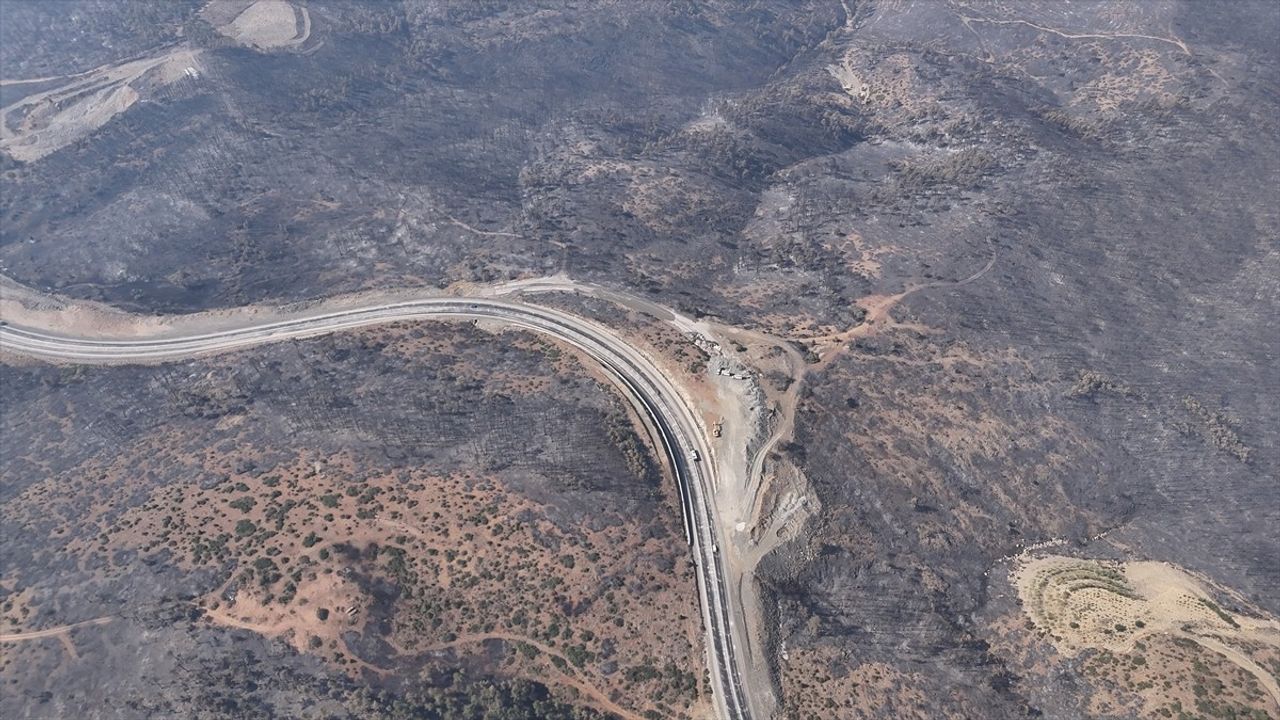Bursa'daki Orman Yangınına 5. Gününde Müdahale Devam Ediyor
