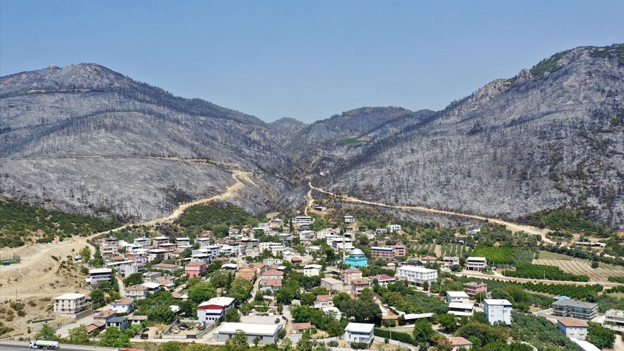 Bursa'daki Orman Yangınında Mahalle Sakinlerinin Yaşadığı Korku