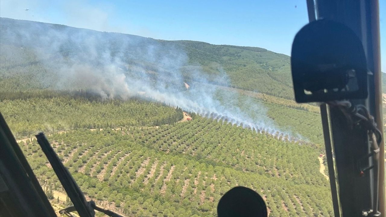 Çanakkale'de Orman Yangınına Hızla Müdahale Ediliyor