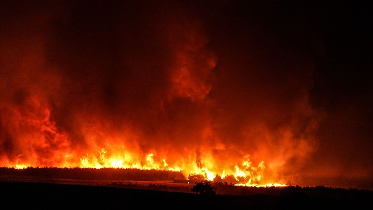 Çanakkale'deki Orman Yangınına Müdahale Devam Ediyor