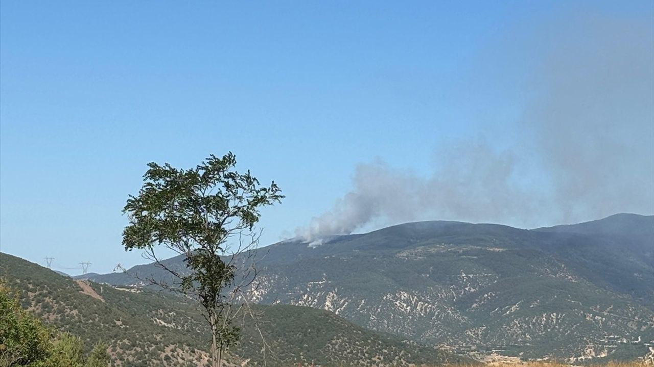 Çankırı'nın Ilgaz İlçesinde Orman Yangınına Müdahale Devam Ediyor