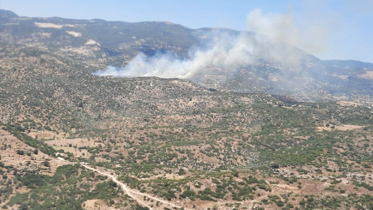 Çine İlçesinde Yangın: Tarım Alanında Mücadele Devam Ediyor