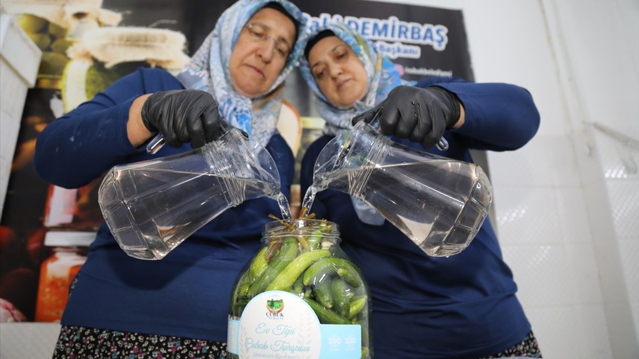 Çubuk Turşusunun Hasat Sezonu Başladı