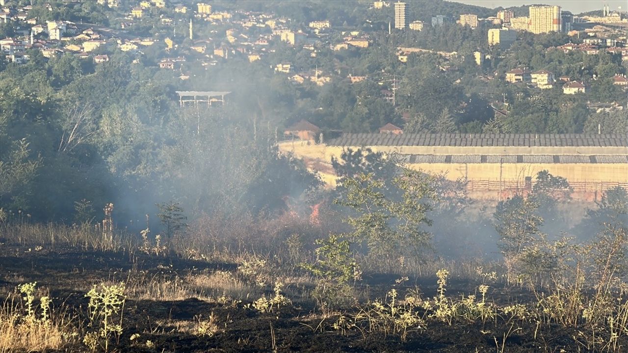 Düzce'de Örtü Yangını İtfaiye ve Vatandaşlarla Söndürüldü