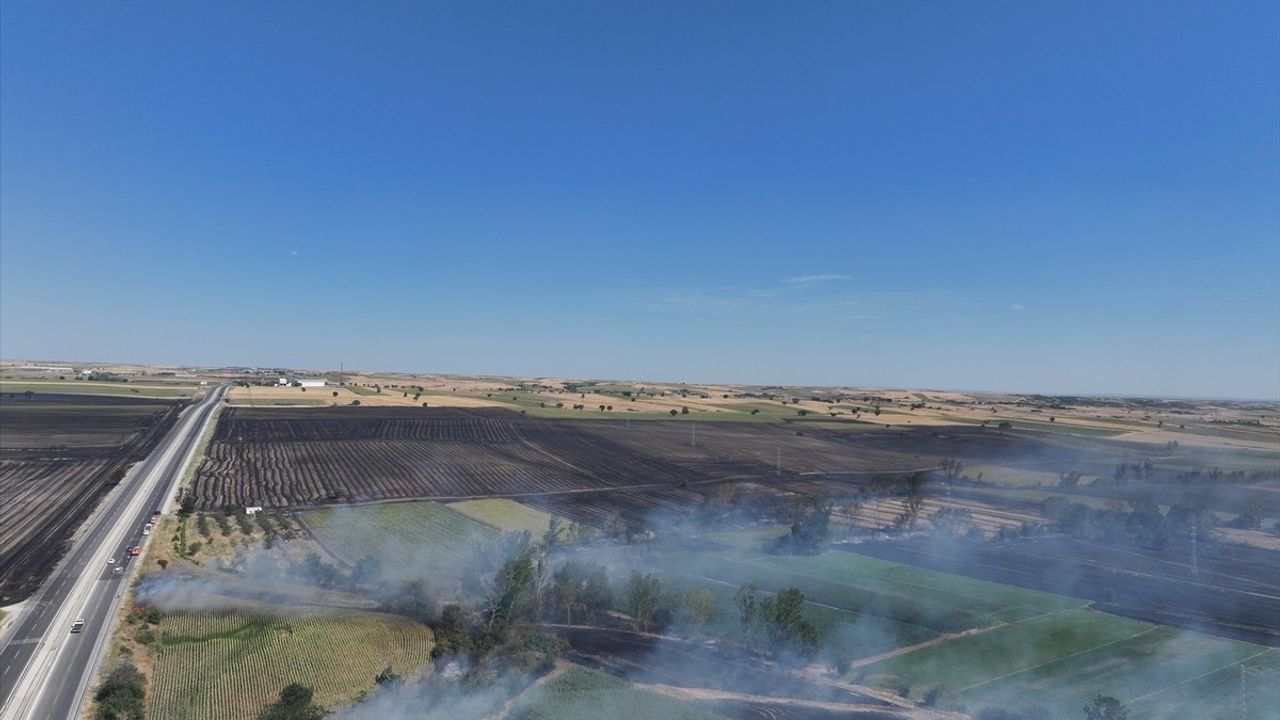 Edirne'de Anız Yangınına Müdahale Devam Ediyor