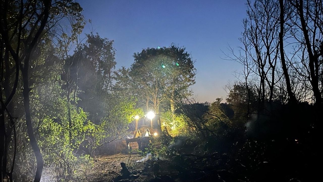 Edirne'de Orman Yangını Kontrol Altına Alındı