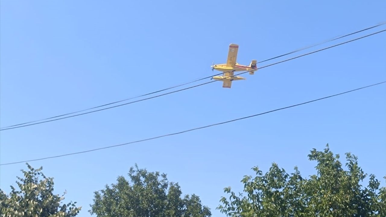 Edirne'deki Orman Yangınına Hızla Müdahale Ediliyor