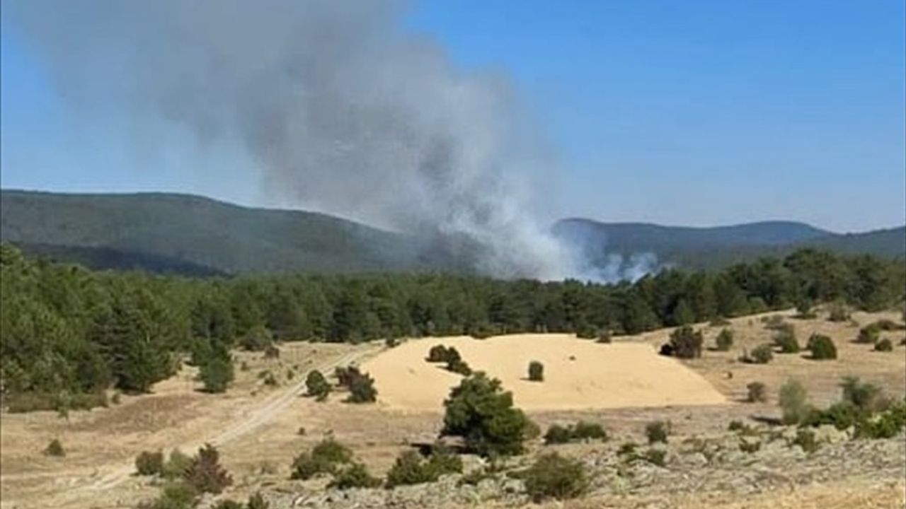 Eskişehir'de Orman Yangını: Hava ve Kara Müdahale Yapılıyor