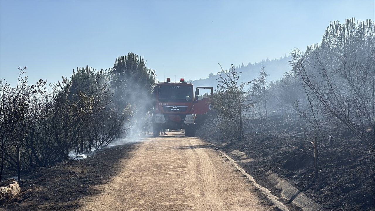 Gebze'de Ağaçlık Alanda Yangın Kontrol Altında