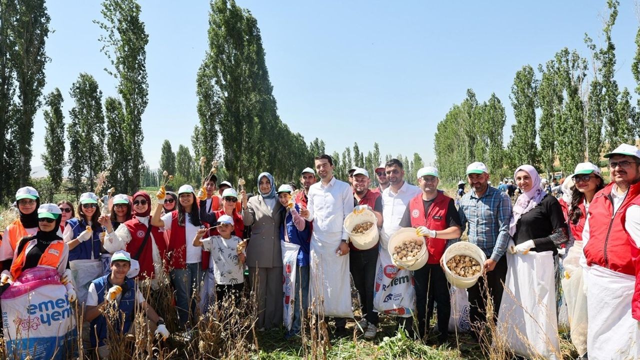 Gönüllü Gençlerin Tarımda Hasat Etkinliği