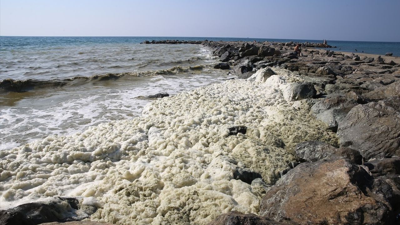 Hatay'daki Deniz Kıyısında Köpük Benzeri Tabaka Doğal Bir Süreç