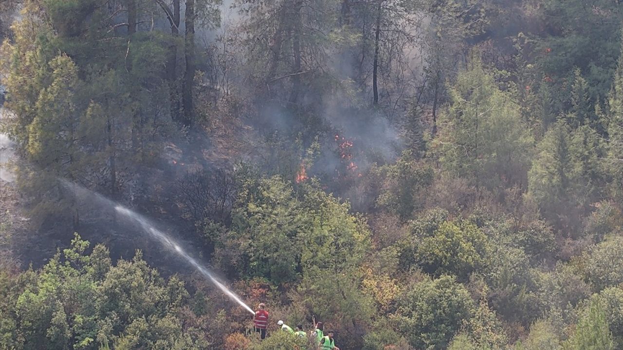 Hatay'daki Orman Yangınına Hava Destekli Mücadele