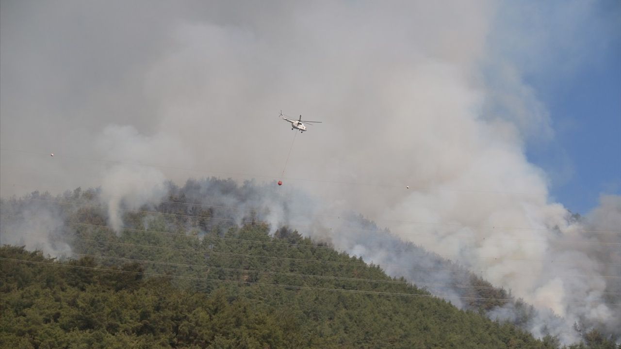Hatay'daki Orman Yangınına Müdahale Devam Ediyor