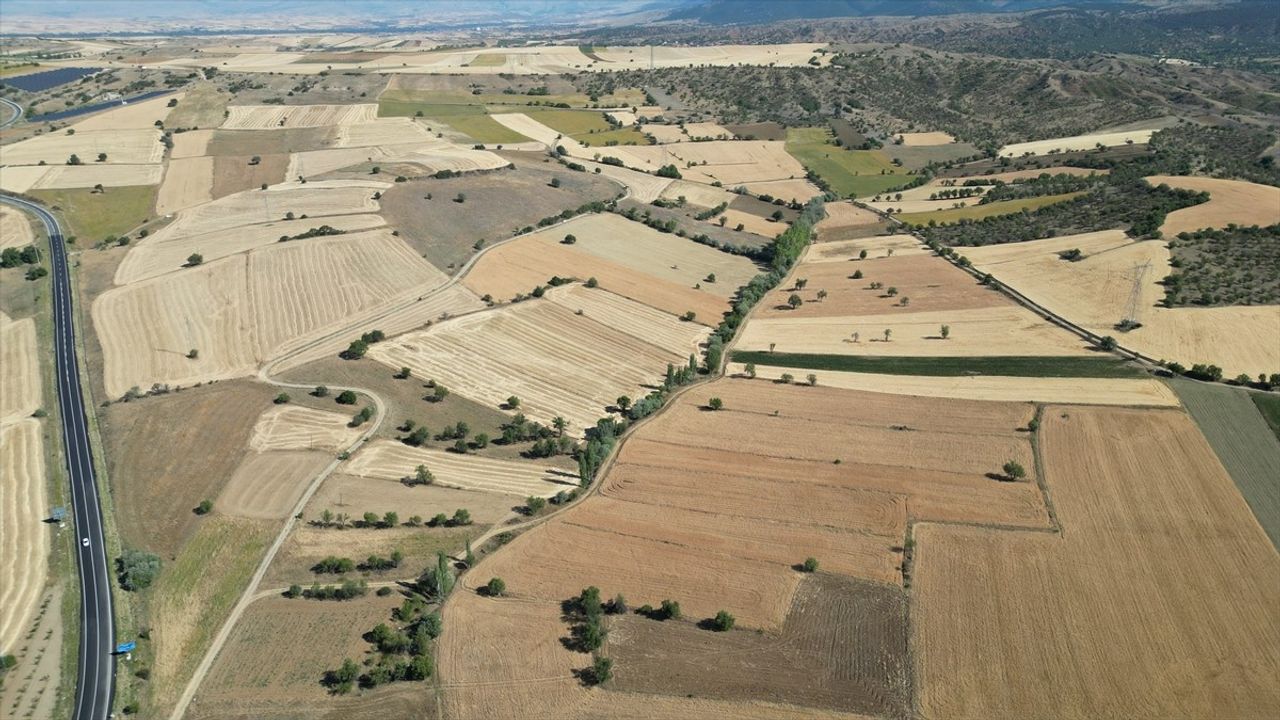 Isparta'da Hububat Hasadı Heyecanı