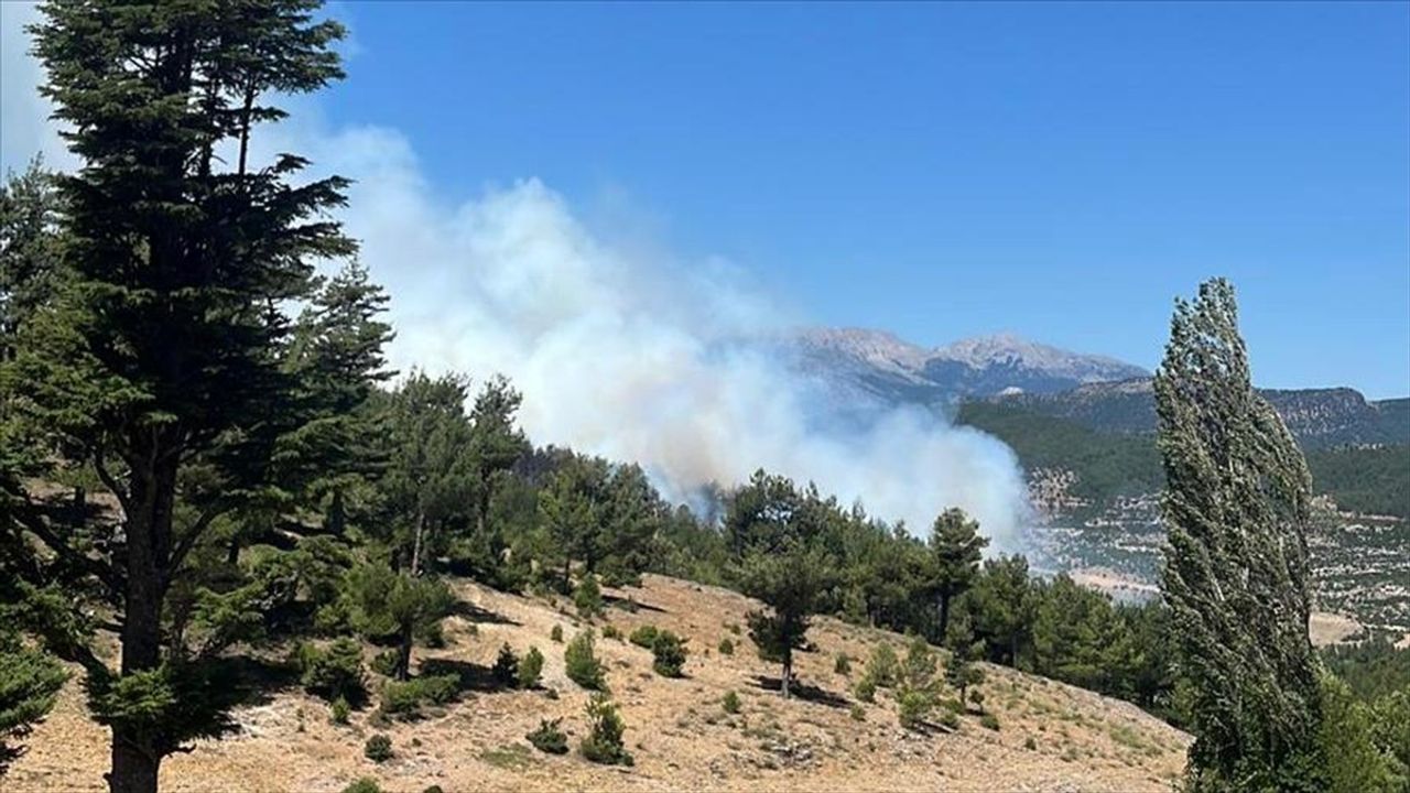 Isparta'da Orman Yangınına Anında Müdahale