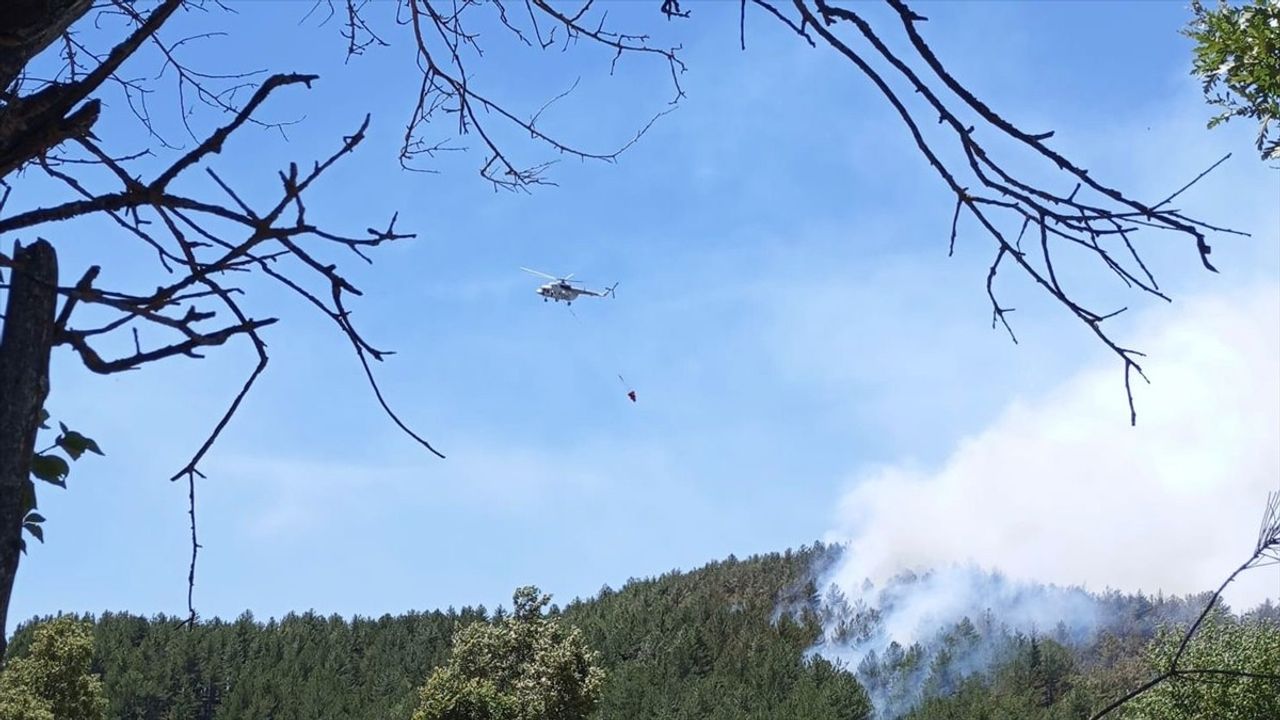 Isparta'da Orman Yangınına Müdahale Ediliyor