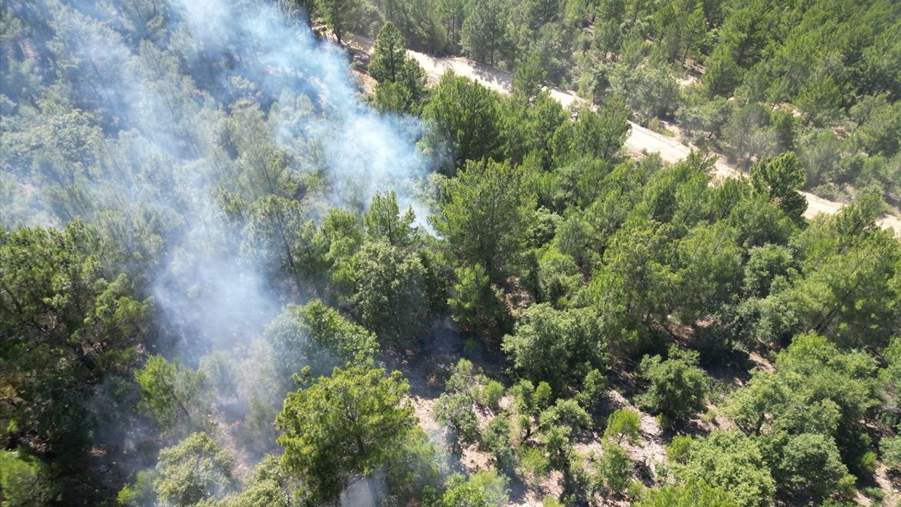 Isparta'daki Orman Yangını Kontrol Altına Alındı