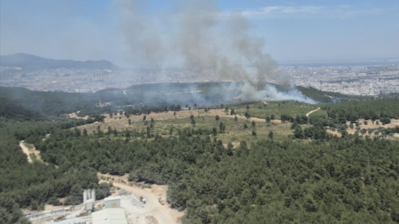 İzmir Buca'da Orman Yangınına Müdahale Başlatıldı
