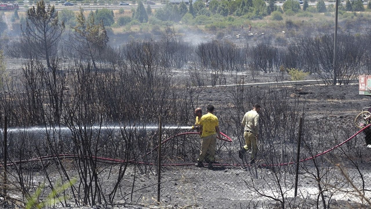 İzmir Buca'da Orman Yangınına Müdahale Başlatıldı