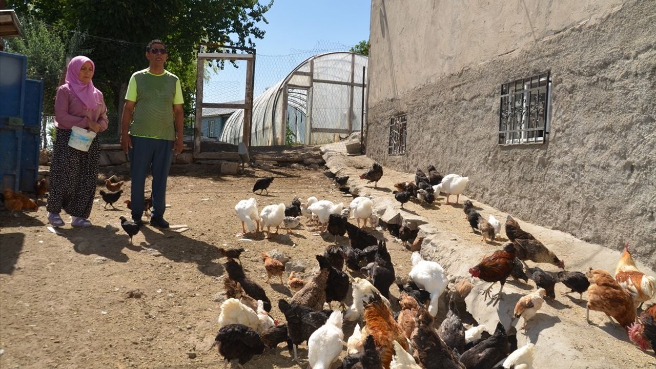 Kanserle Mücadele Eden Osman Tosun, Atıl Arazisini Doğal Yaşam Alanına Dönüştürdü