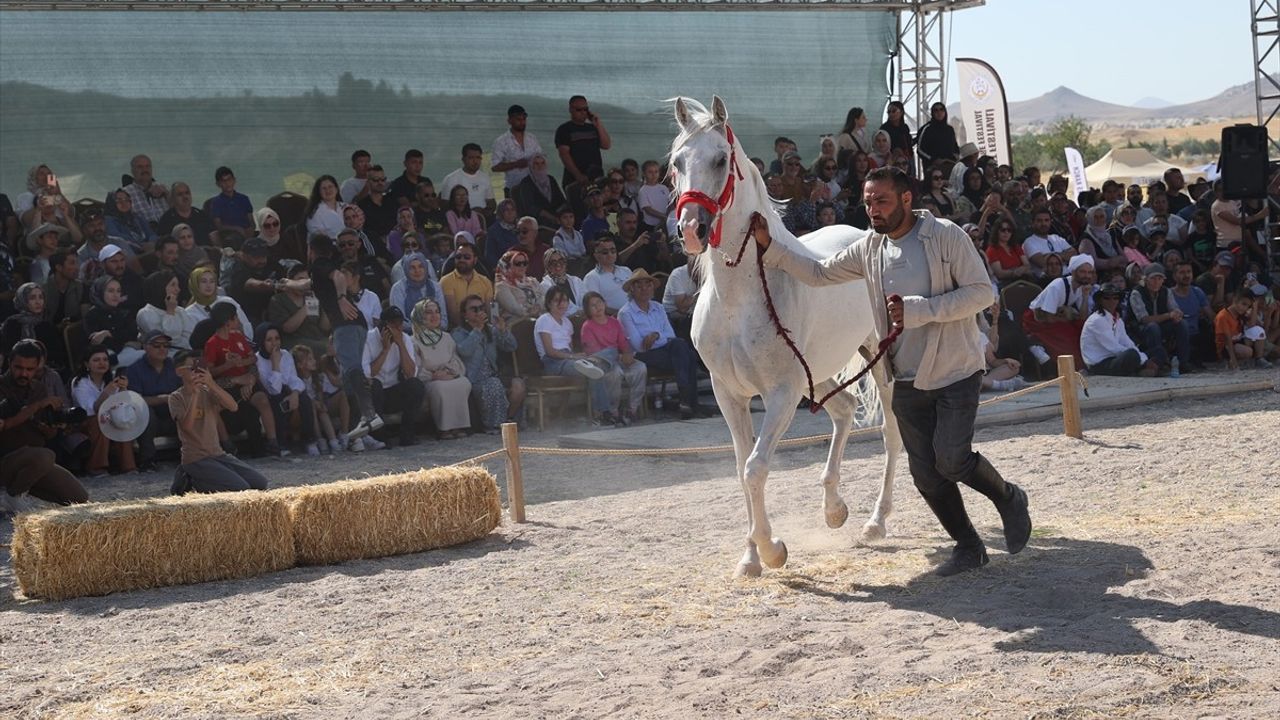 Kapadokya'da At Güzellik Yarışması Coşkusu