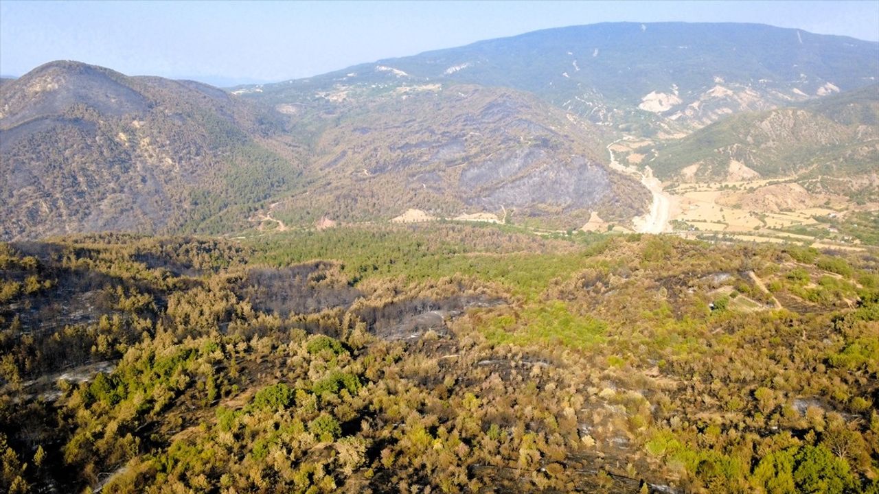 Karabük'teki Orman Yangınlarına Müdahale Devam Ediyor