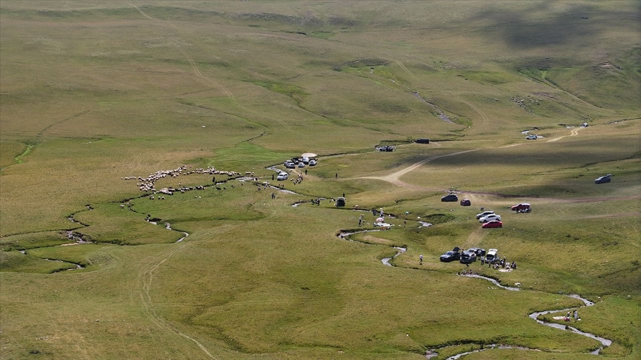 Karadeniz'in Gizli Cennetleri: Yaylalara Ziyaret Artıyor
