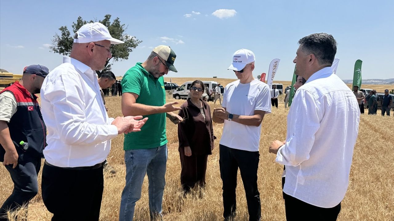 Karaman'da Yerli Tohum İle Buğday Hasadı Tamamlandı