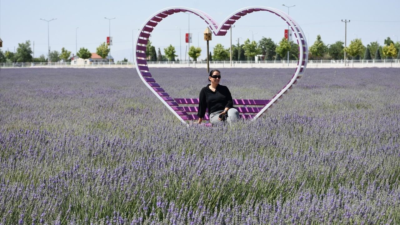 Karatay Lavanta Bahçesi Yeni Sezonda Kapılarını Açtı