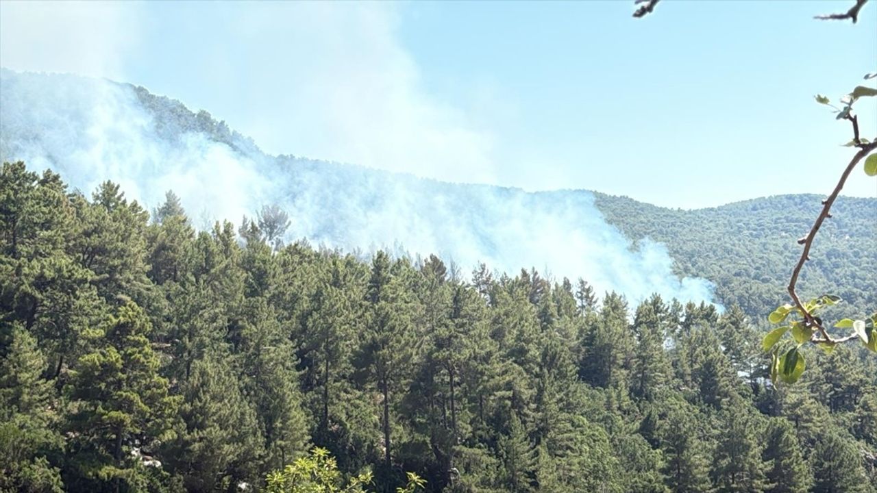 Kaş'ta Orman Yangınına Müdahale Devam Ediyor