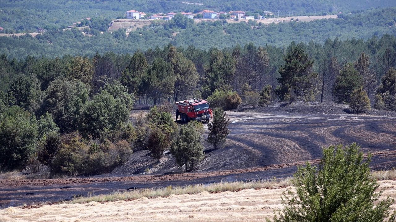 Kastamonu'da Tarım Arazisinde Yangın: Ormana Sıçradı
