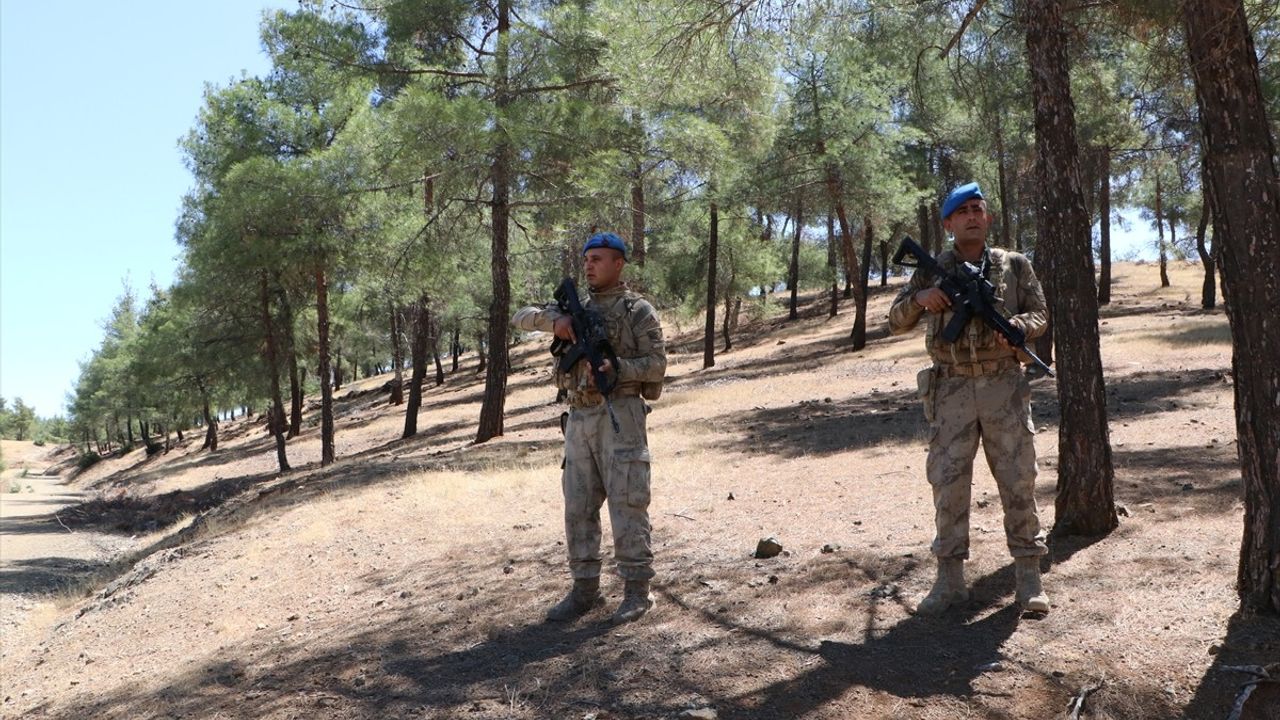 Kilis'te Orman Yangınlarına Karşı Önlemler Artıyor