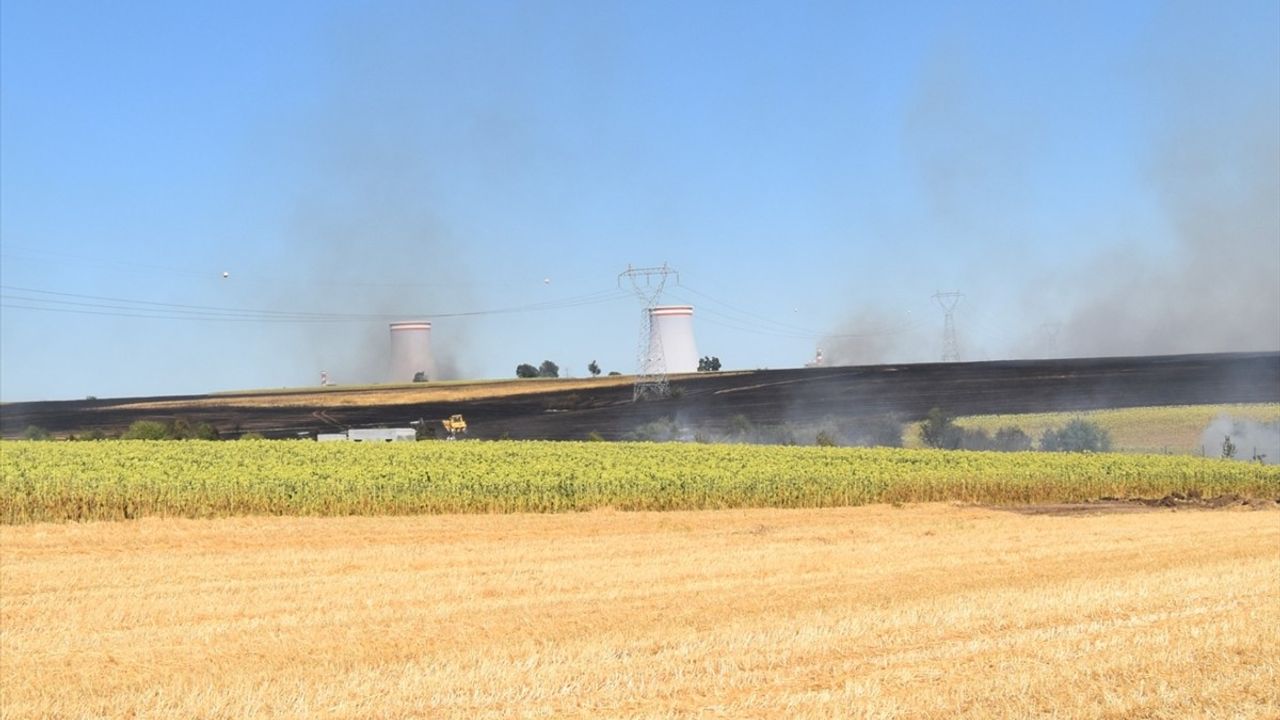 Kırklareli'nde Anız Yangını Kontrol Altına Alındı