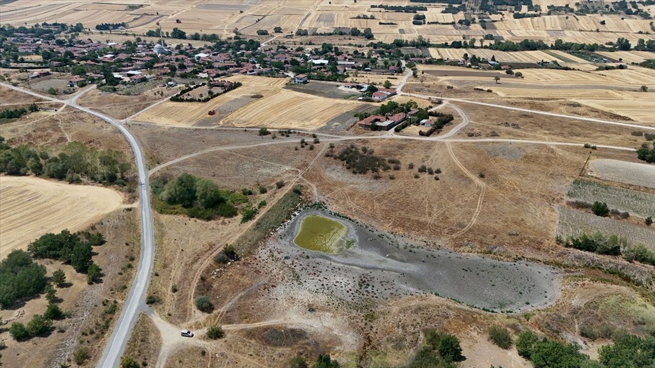 Kırklareli'nde Müsellim Göleti'nde Balık Ölümleri