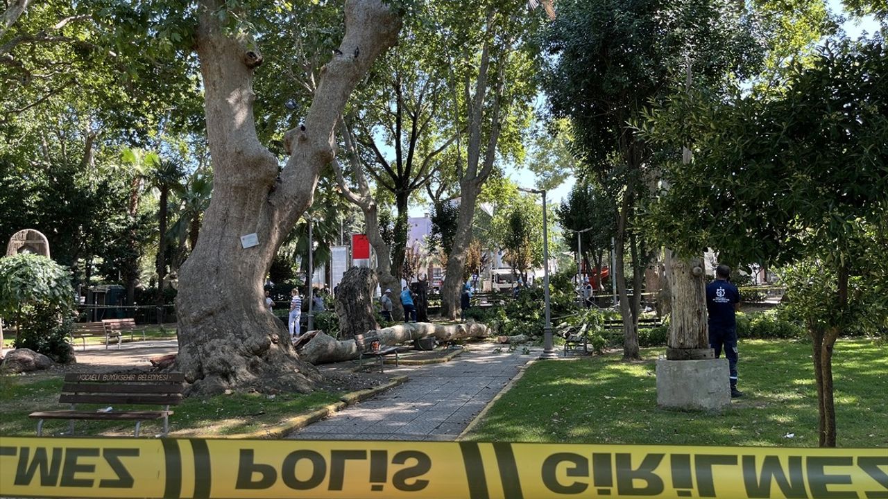Kocaeli'de Düşen Ağaç Dalı Üzerine 3 Kişi Yaralandı
