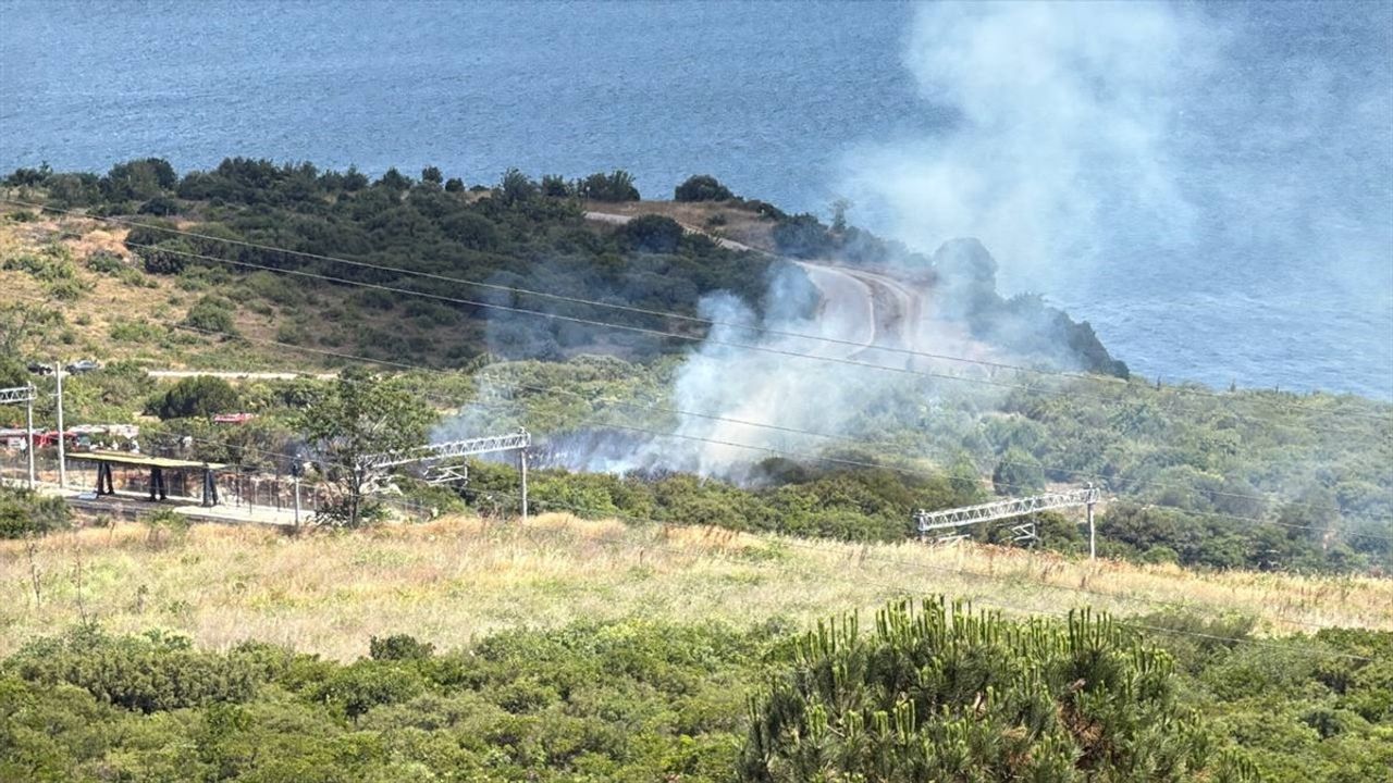 Kocaeli'de Makilik Alandaki Yangın Kontrol Altında
