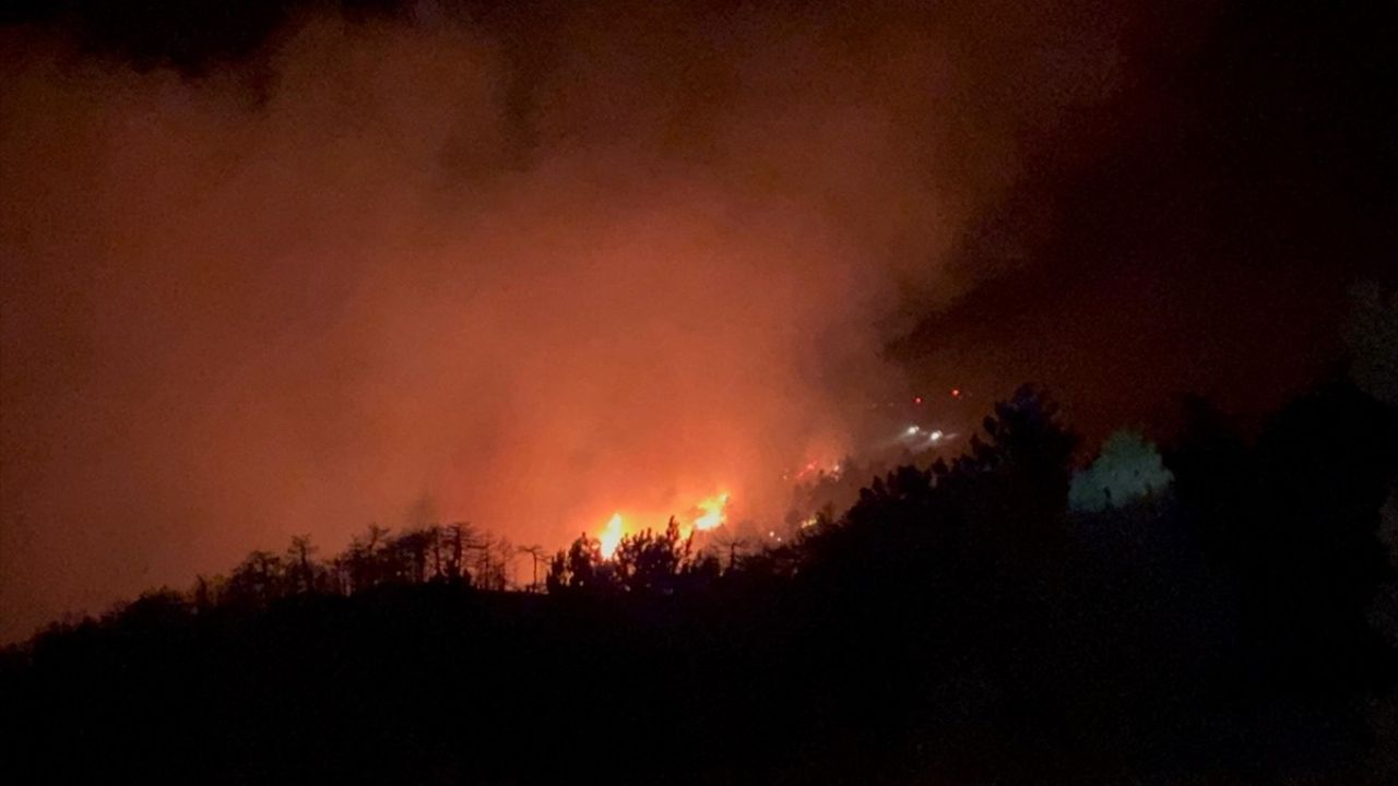 Konya'da Orman Yangınına Yoğun Müdahale Devam Ediyor