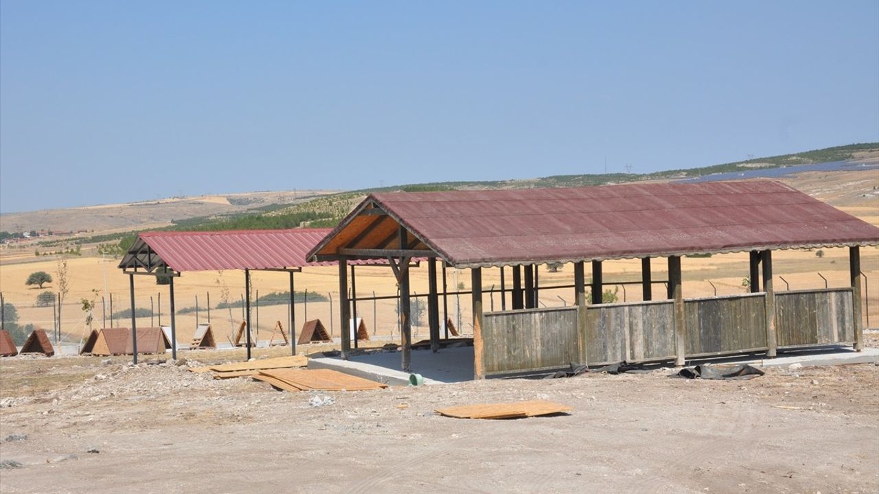 Kütahya'da Sahipsiz Hayvanlar İçin Yeni Merkez