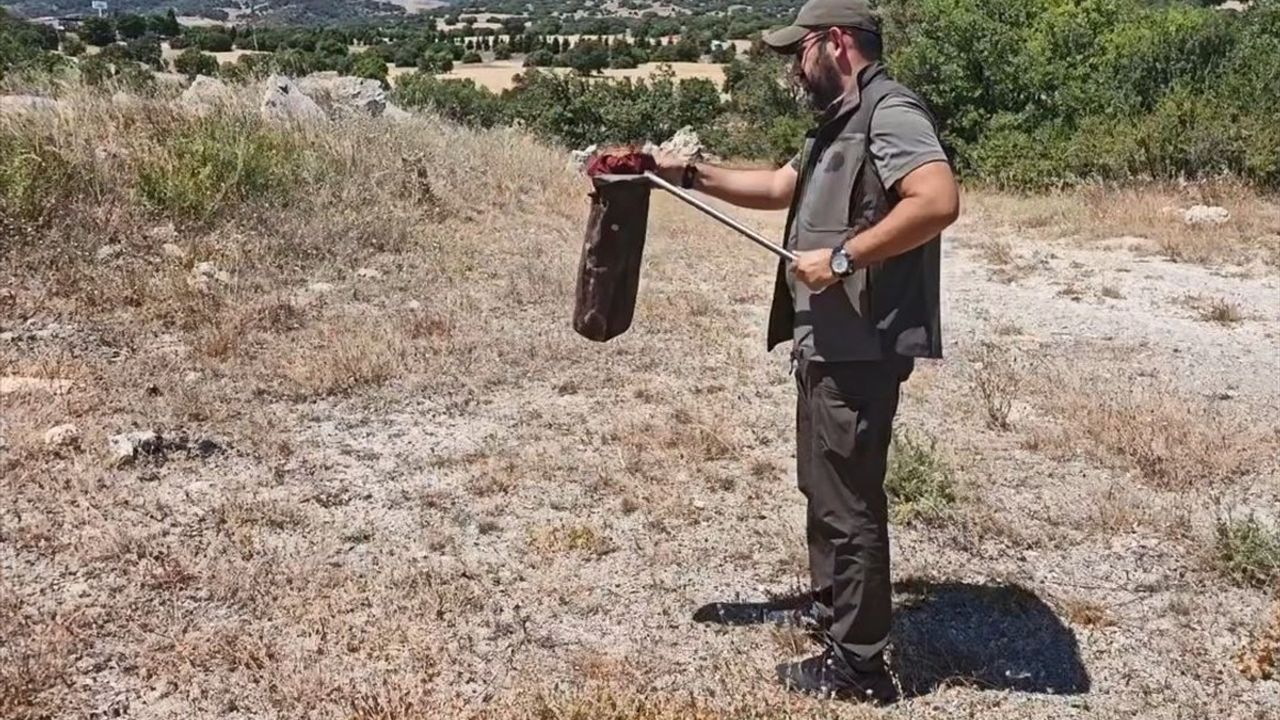 Kütahya Restoranında Yakalanan Yılan Doğaya Salındı