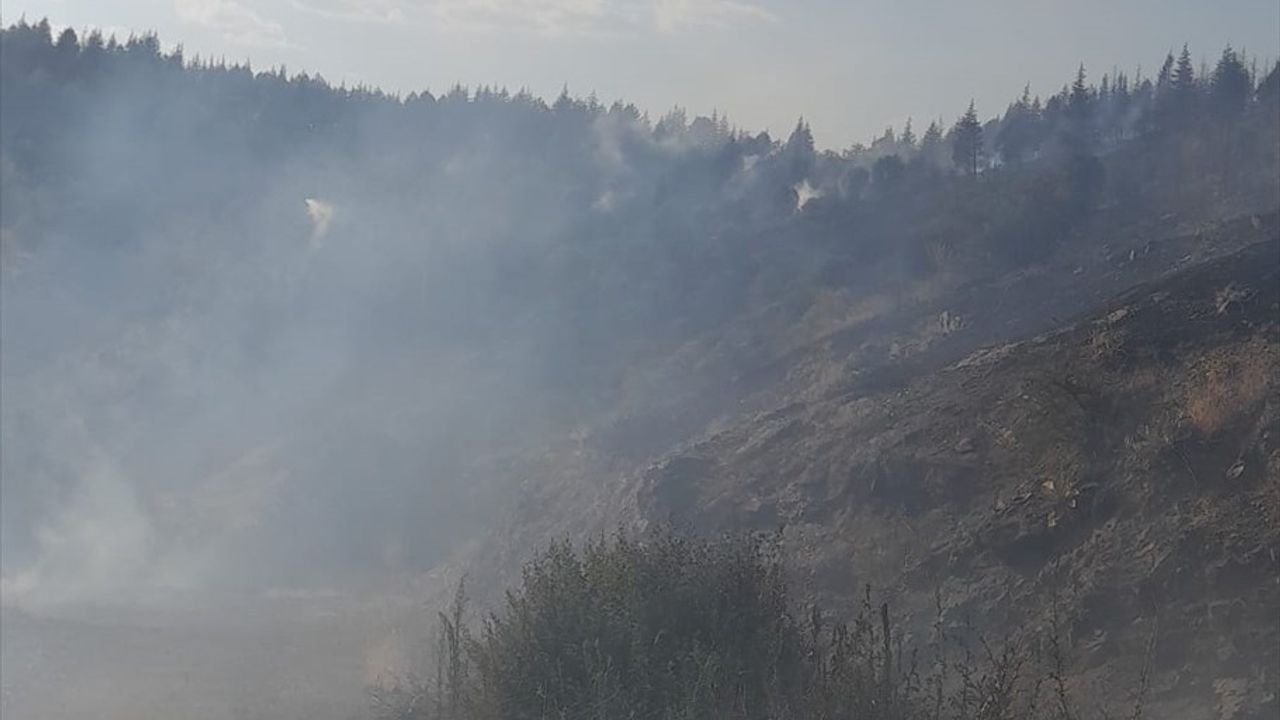 Malatya'da Orman Yangınlarına Müdahale