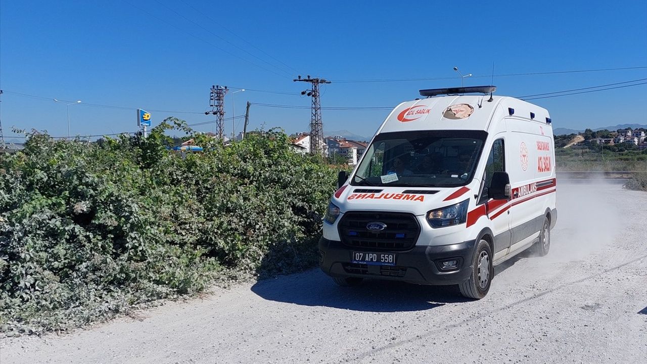 Manavgat'ta Aslan Kaçışı: Bir Kişi Yaralandı