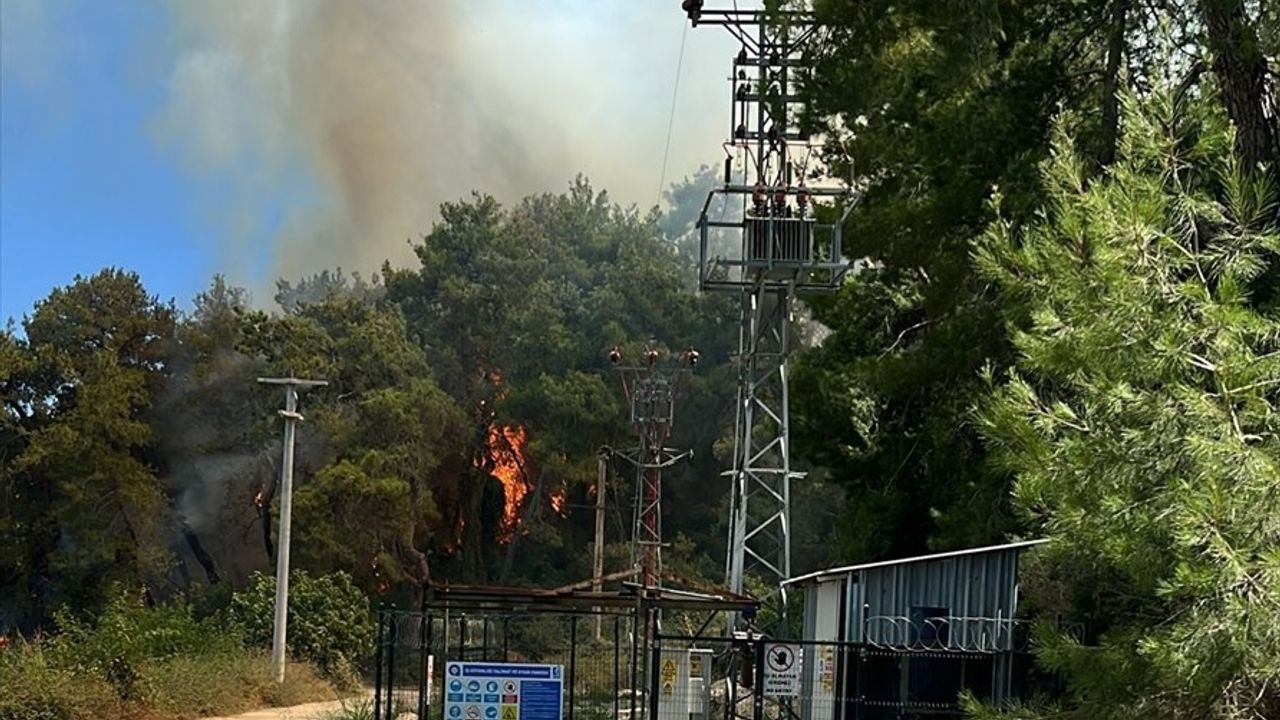 Manavgat'ta Orman Yangınına Müdahale Devam Ediyor